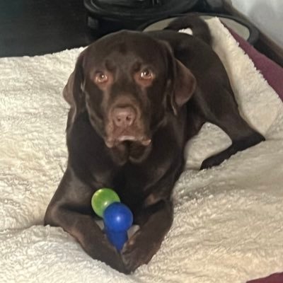 Hilz1983's profile picture. 