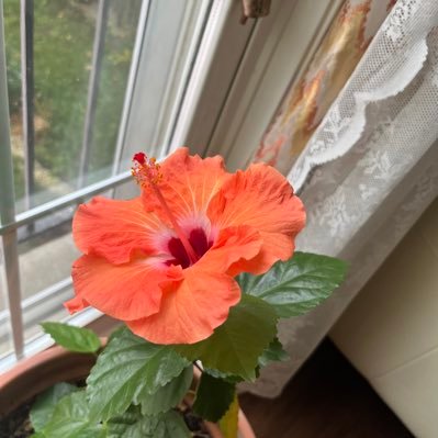 pintoo_d's profile picture. Real estate, stocks and crypto investments!! love sports, travel and adventure!