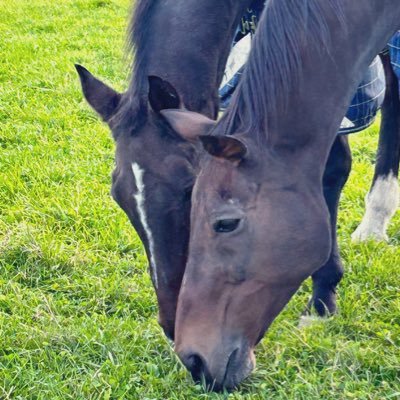 overnexus0307's profile picture. 