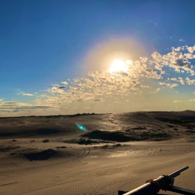 JustMeMery's profile picture. 