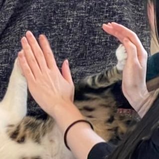 genkai24ji's profile picture. ムーミンバレーパーク行きたいね/やり直し英語/読書/2歳育児中