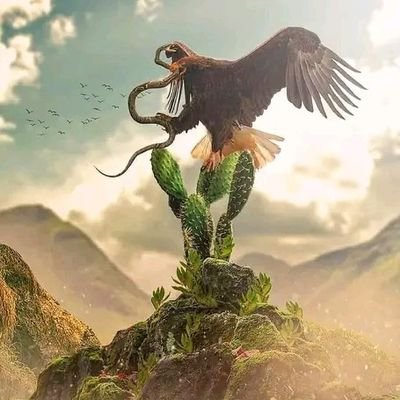 GibranVillarre's profile picture. 