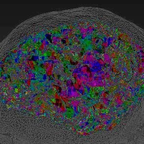 marawawrites's profile picture. 