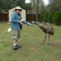 Citrus County Plant Growers (@mrmoney77) 's Twitter Profile