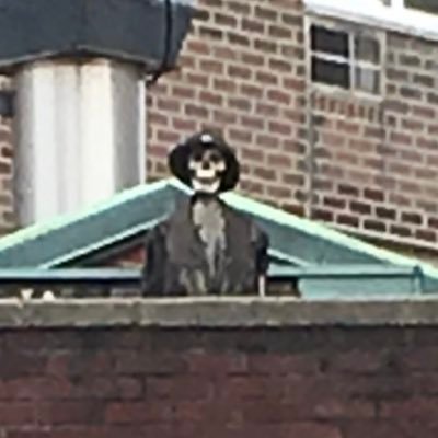 athlan12's profile picture. goodshape