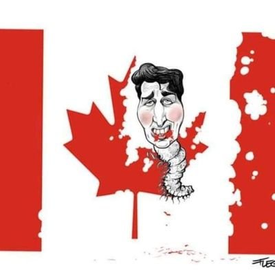 letfreedomreiyn's profile picture. 