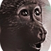 Primate Earth (@primateearth) Twitter profile photo Primate Earth (@primateearth) Twitter profile photo
