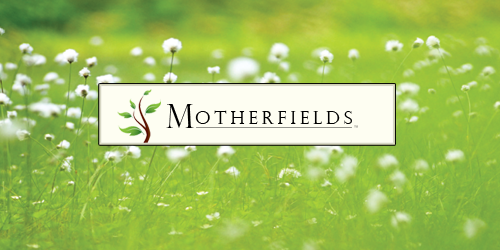 Motherfields1's profile picture. Helping mothers work, parent and connect.