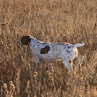 Rod Hartman (@rodhartman6) 's Twitter Profile