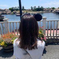 ふうか🚤競艇予想 (@kyotei_fukafuka) Twitter profile photo