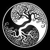 Johnny_Peu's profile picture. Clear eyes, full hearts, can't lose!