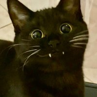 microwave enthusiast (@shortkingandrei) 's Twitter Profile Photo microwave enthusiast (@shortkingandrei) 's Twitter Profile Photo