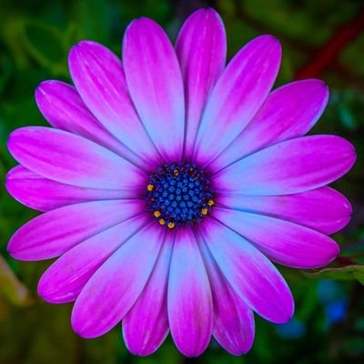 Follow along with us for relaxing sounds, music and videos.