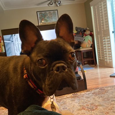 nickling473's profile picture. 