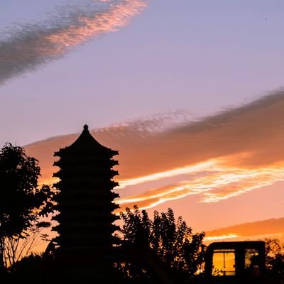 Tommy329069731's profile picture. 