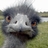 TheOnlyWardo's profile image