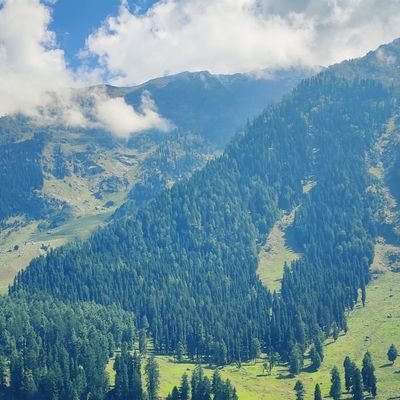 KashurInsan1's profile picture. JUNIOR ENGINEER R&B, 
NIT Srinagar