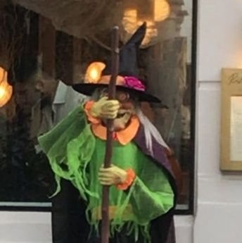 Carnivor_Health's profile picture. Truth seeker, peace believer