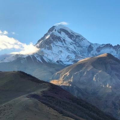 CrazyRNmeow's profile picture. 