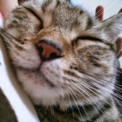 7Rt6WE6awm6CVML's profile picture. 