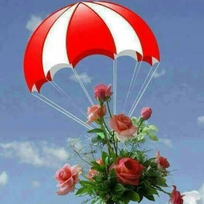 tadeusz_soko's profile picture. 