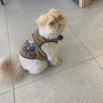 f2ngwx's profile picture. a programmer 😈,C++ JavaScript golang erlang #我来推特是看黄推的（不是