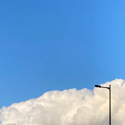 vi_pip's profile picture. 20↑ /成人済 /まごう事なきROM専です‼️/t 🦁🐬 👑