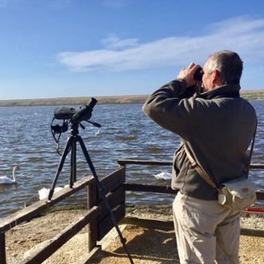 The Swanherd at Abbotsbury🦢, passionate patch birder🦆, ageing mod🛵, devoted husband to Suz👫 I tweet mostly Swannery bird sightings🐦 All views my own.