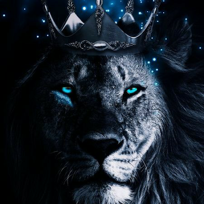 Samsungnote919's profile picture. 