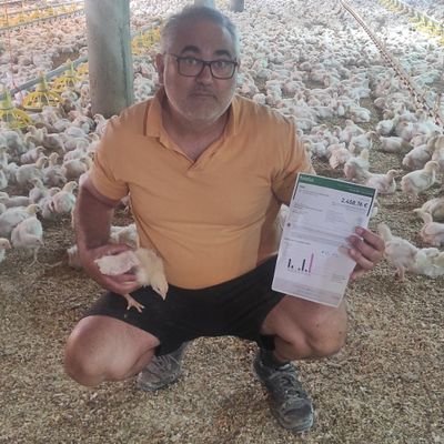 EloyUrena's profile picture. Granjero avícola 
Autónomo las 24h 365 dias
políticamente huerfano