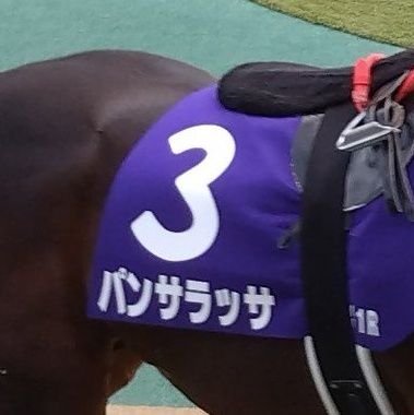 アイマスとウイスキー、最近はウマ娘も。
塩見周子、ノクチル、篠澤広。マンハッタンカフェ、アドマイヤベカ
RTと食べ物の写真多め。