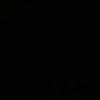 Tom Wakeman (@tom_wakeman) 's Twitter Profile