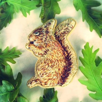 Jadedutton2's profile picture. Tefl teacher, embroidery artist, dog lover, nature lover, free spirit.