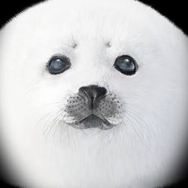 頑張るアザラシさんのプロフィール画像