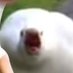 Kazuha (@koreaaaboo) Twitter profile photo Kazuha (@koreaaaboo) Twitter profile photo