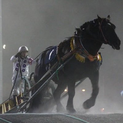 大幅パワーアップして復活しました❣️10頭以下の小頭数レースを3頭に絞ります❣️ 3連単boxか3連複1点.馬連boxなどで購入してください❣️ばんえいメインに行ってます❣️🚨3連単box 各1000円で帯連発中🚨 ※レースの結果.実績は全てツイートします