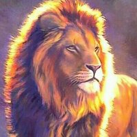 Matt (@theliontribe105) 's Twitter Profile