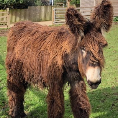 cleverissy33's profile picture. 