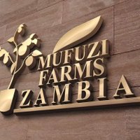 Mufuzi Farms Zambia.(MFZ) (@theeblackjay) 's Twitter Profile