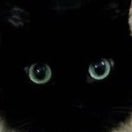 MiauPepsi's profile picture. ₊˚୧・she/they˚꒦꒷ │˚₊ ɞ ︰18 yrs old ₊˚꒷  ₊˚୧˚꒦꒷