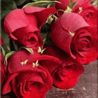 ابراهيم عيسى على (@wmhmdalsyd) Twitter profile photo