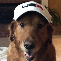 PolishedGoldenDome (@mshadetree14) 's Twitter Profile
