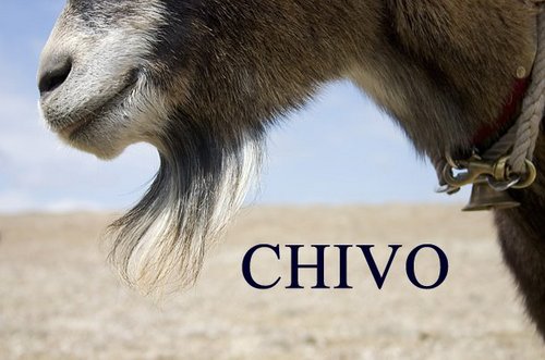 chivinhocarioca's profile picture. Vago Profesional, Crema y Madridista de Corazón, San Carlista por Convicción