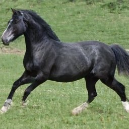 AliciaR02696631's profile picture. 子育てがんばるPです！大変な環境で、子育て頑張ってます！お互いにほっと息が向けるような関係がいいですね！よろしくおねがいします！相互フォロー募集中です！