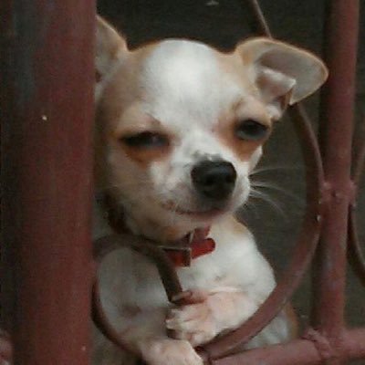 kmffai's profile picture. ทุกอย่างที่อยากหวีด