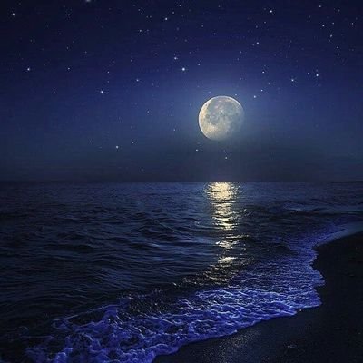 Sanjana_C555's profile picture. 