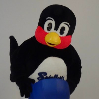 捲土重来 2025 TEAM SWALLOWS/急に強くなるターンで悲願の頂点へ/だがしかしおかし たまにとりみだします(とりだけに)/まけるもんか こころをひとつに みんなえみふる/不死鳥つば九郎を敬愛する ちなつば🐧/試合中うるさいです@swallowspr