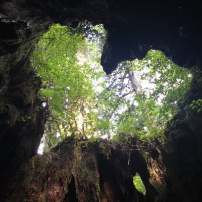 rily_9274's profile picture. 今市隆二さん大好きな大人RILYS✨ ソロ始めた頃のアナザースカイで 志高い一言に感銘を受けてファンに💓RILYSさん達も優しい方多くて好き😃👏