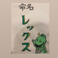 レックス (@rex_photo_ita2) 's Twitter Profile