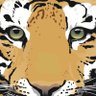 CESTigers5803's profile picture. Pre-k thru 5th grade public school in Dickson County, TN